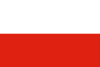 Drapeau pologne